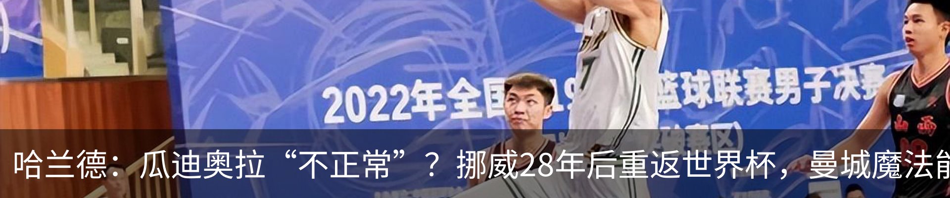 新闻动态