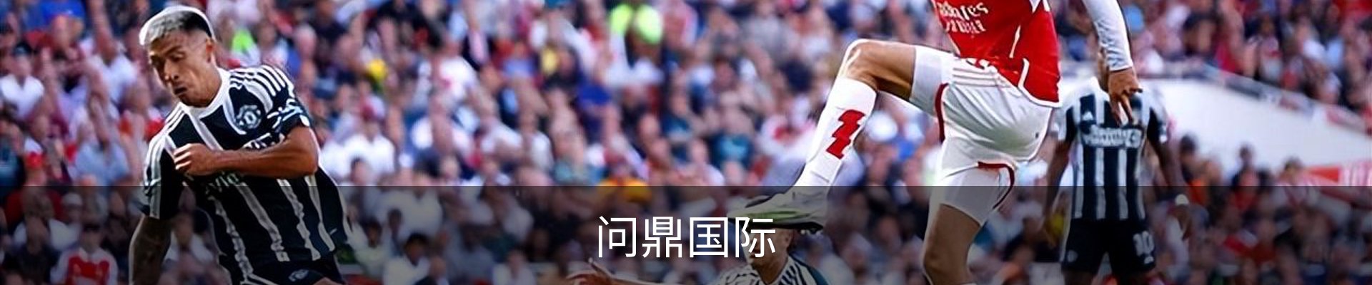 问鼎国际